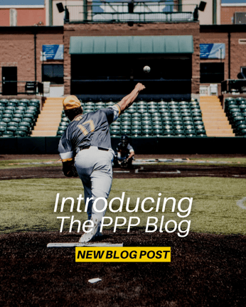 INTRODUCING PPP blog